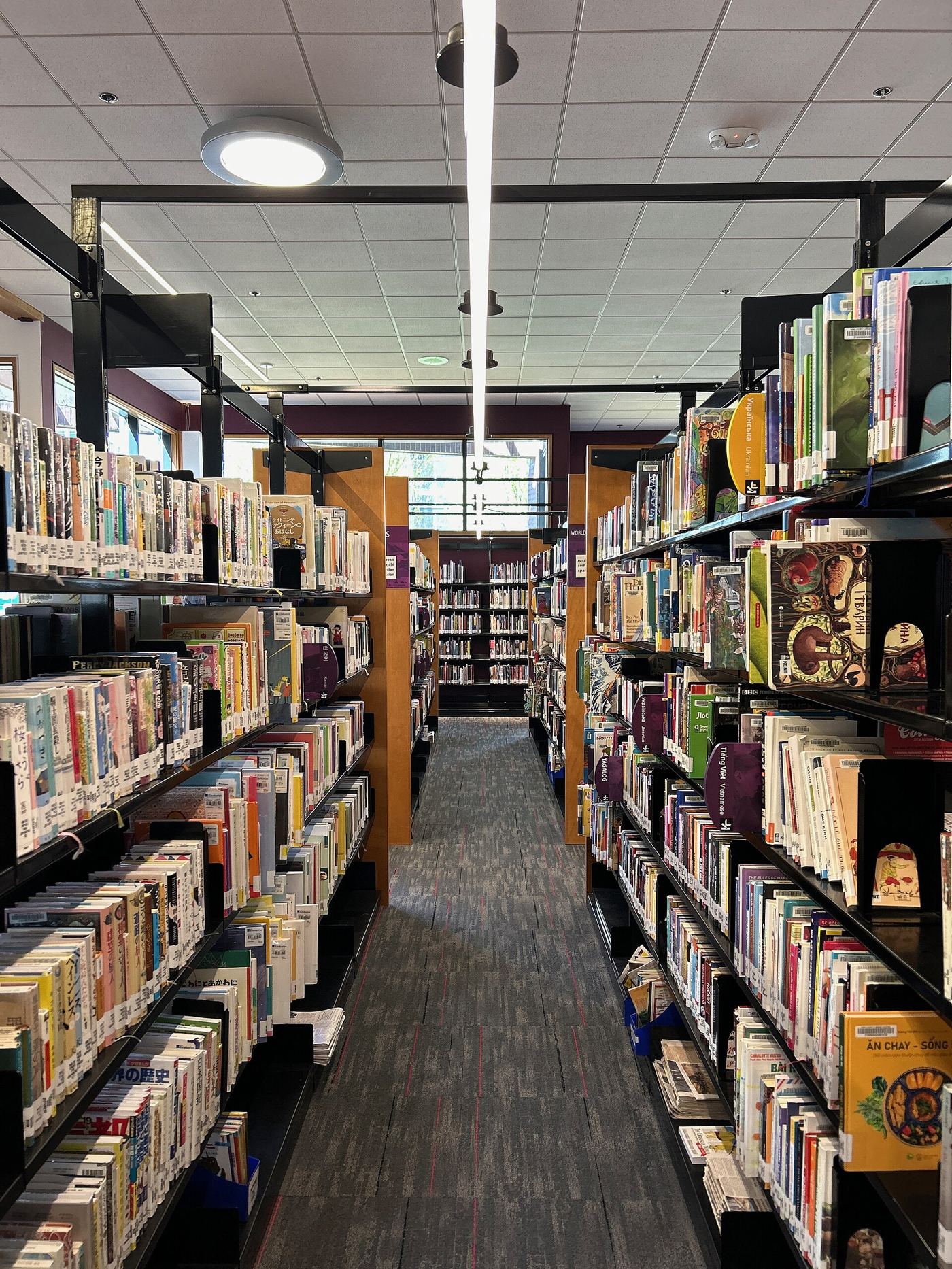 Shelves in a community library