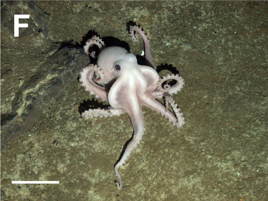 Deep ocean water in darkness